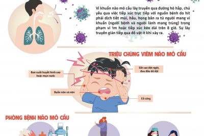 PHÒNG BỆNH NÃO MÔ CẦU