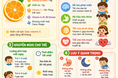 Cam – dinh dưỡng và lợi ích cho trẻ Mầm non.