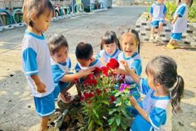 HOẠT ĐỘNG NGOÀI TRỜI – KHÁM PHÁ THIÊN NHIÊN CỦA CÁC BÉ LỚP MẦM 2